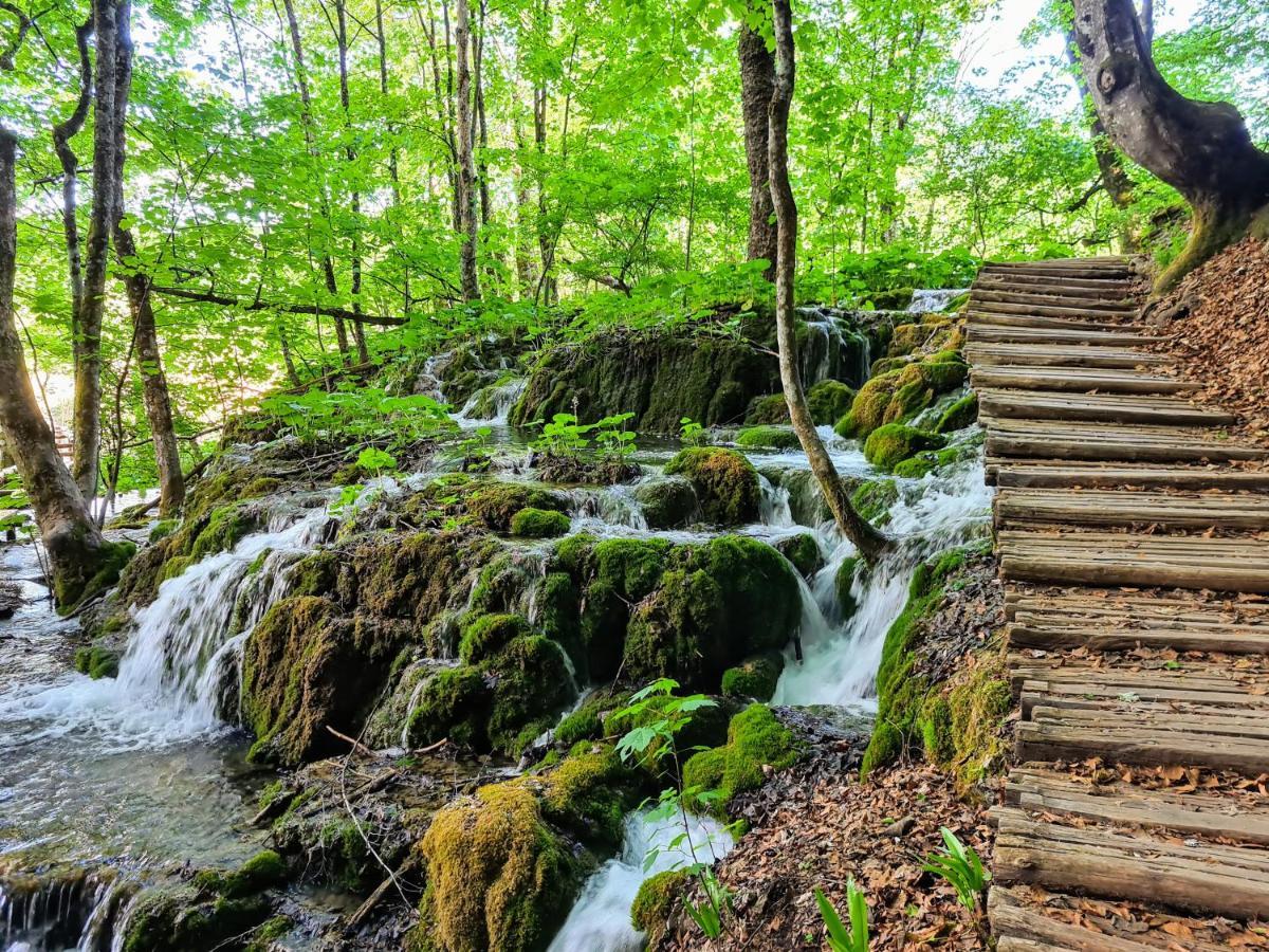 Zrinka House Hotel Grabovac  Bagian luar foto